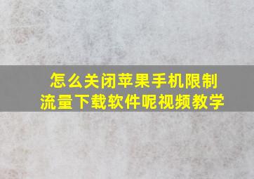 怎么关闭苹果手机限制流量下载软件呢视频教学