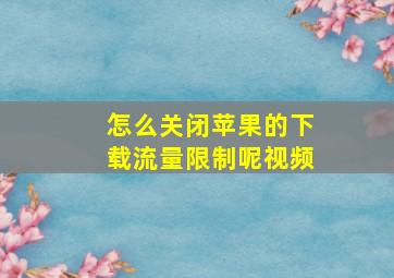 怎么关闭苹果的下载流量限制呢视频