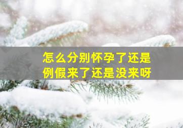 怎么分别怀孕了还是例假来了还是没来呀