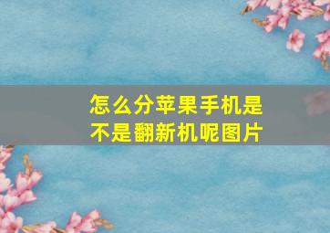 怎么分苹果手机是不是翻新机呢图片