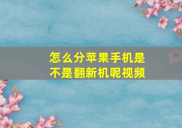 怎么分苹果手机是不是翻新机呢视频