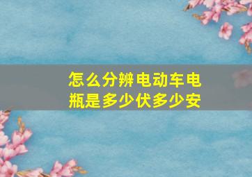 怎么分辨电动车电瓶是多少伏多少安