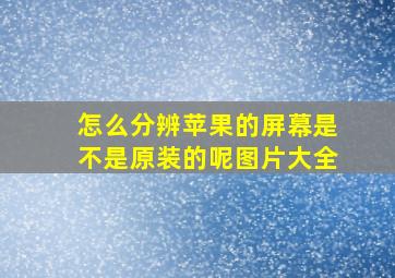 怎么分辨苹果的屏幕是不是原装的呢图片大全