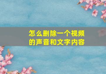 怎么删除一个视频的声音和文字内容