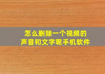 怎么删除一个视频的声音和文字呢手机软件