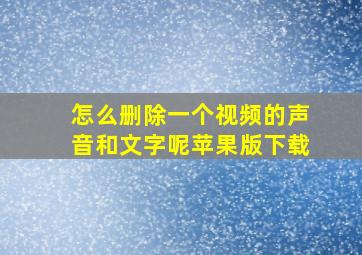 怎么删除一个视频的声音和文字呢苹果版下载