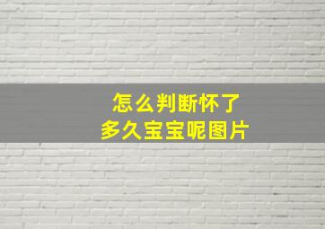 怎么判断怀了多久宝宝呢图片