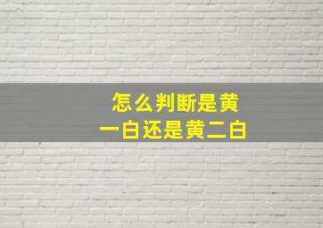 怎么判断是黄一白还是黄二白