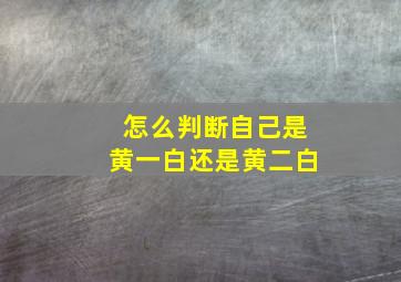 怎么判断自己是黄一白还是黄二白