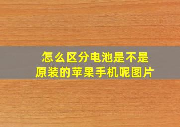 怎么区分电池是不是原装的苹果手机呢图片