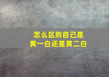 怎么区别自己是黄一白还是黄二白