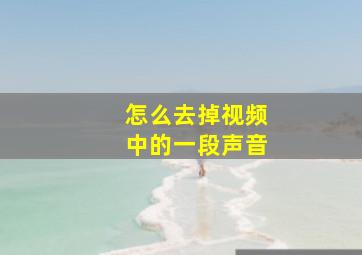 怎么去掉视频中的一段声音