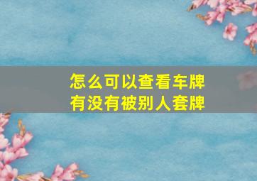 怎么可以查看车牌有没有被别人套牌