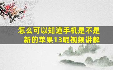 怎么可以知道手机是不是新的苹果13呢视频讲解