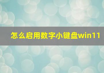 怎么启用数字小键盘win11