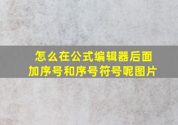 怎么在公式编辑器后面加序号和序号符号呢图片