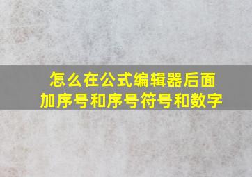 怎么在公式编辑器后面加序号和序号符号和数字