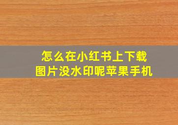 怎么在小红书上下载图片没水印呢苹果手机