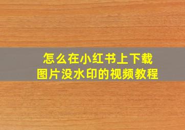 怎么在小红书上下载图片没水印的视频教程