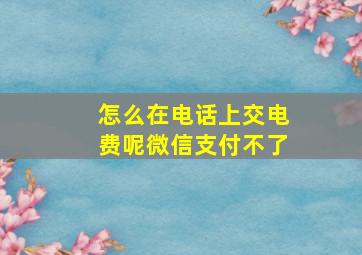 怎么在电话上交电费呢微信支付不了