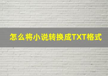 怎么将小说转换成TXT格式