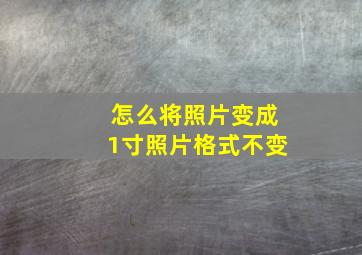 怎么将照片变成1寸照片格式不变