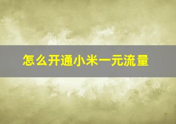 怎么开通小米一元流量