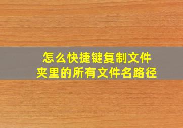 怎么快捷键复制文件夹里的所有文件名路径