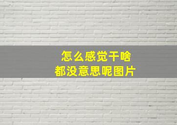 怎么感觉干啥都没意思呢图片