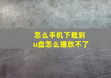 怎么手机下载到u盘怎么播放不了