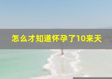 怎么才知道怀孕了10来天