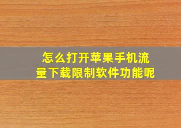 怎么打开苹果手机流量下载限制软件功能呢