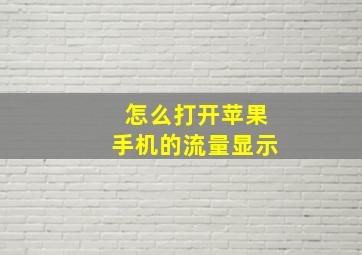 怎么打开苹果手机的流量显示