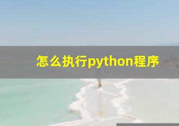 怎么执行python程序