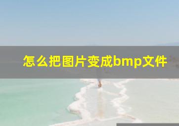 怎么把图片变成bmp文件