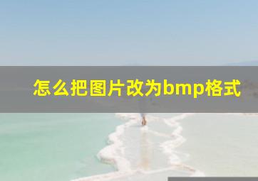 怎么把图片改为bmp格式