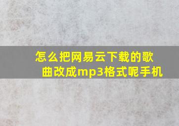 怎么把网易云下载的歌曲改成mp3格式呢手机