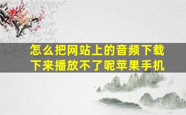 怎么把网站上的音频下载下来播放不了呢苹果手机