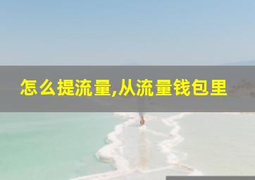 怎么提流量,从流量钱包里