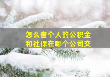 怎么查个人的公积金和社保在哪个公司交