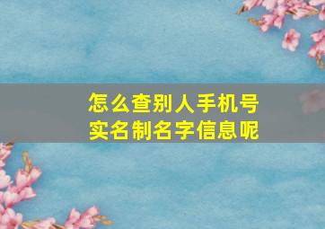 怎么查别人手机号实名制名字信息呢