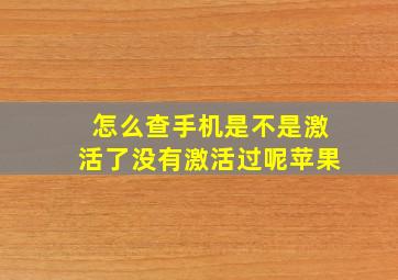 怎么查手机是不是激活了没有激活过呢苹果