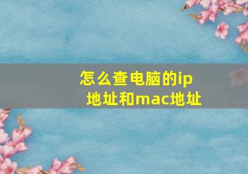 怎么查电脑的ip地址和mac地址