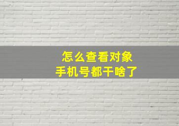 怎么查看对象手机号都干啥了