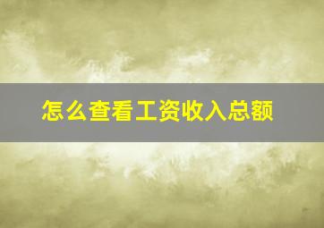 怎么查看工资收入总额