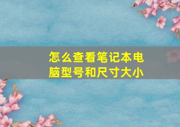 怎么查看笔记本电脑型号和尺寸大小