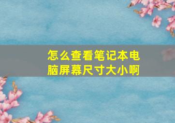 怎么查看笔记本电脑屏幕尺寸大小啊