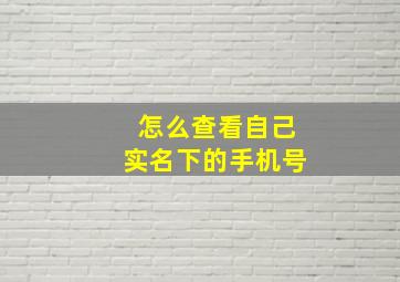 怎么查看自己实名下的手机号