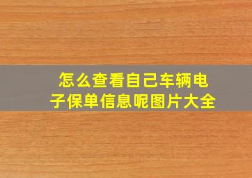 怎么查看自己车辆电子保单信息呢图片大全