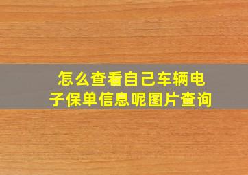 怎么查看自己车辆电子保单信息呢图片查询